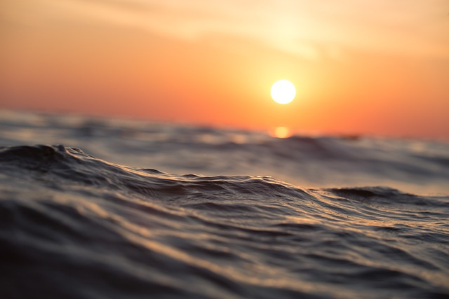 tirar cenizas al mar